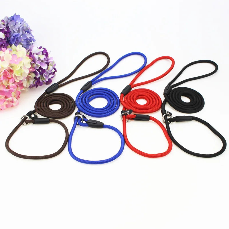Adjustable Nylon Dog Leash – Training Lead & Harness Strap