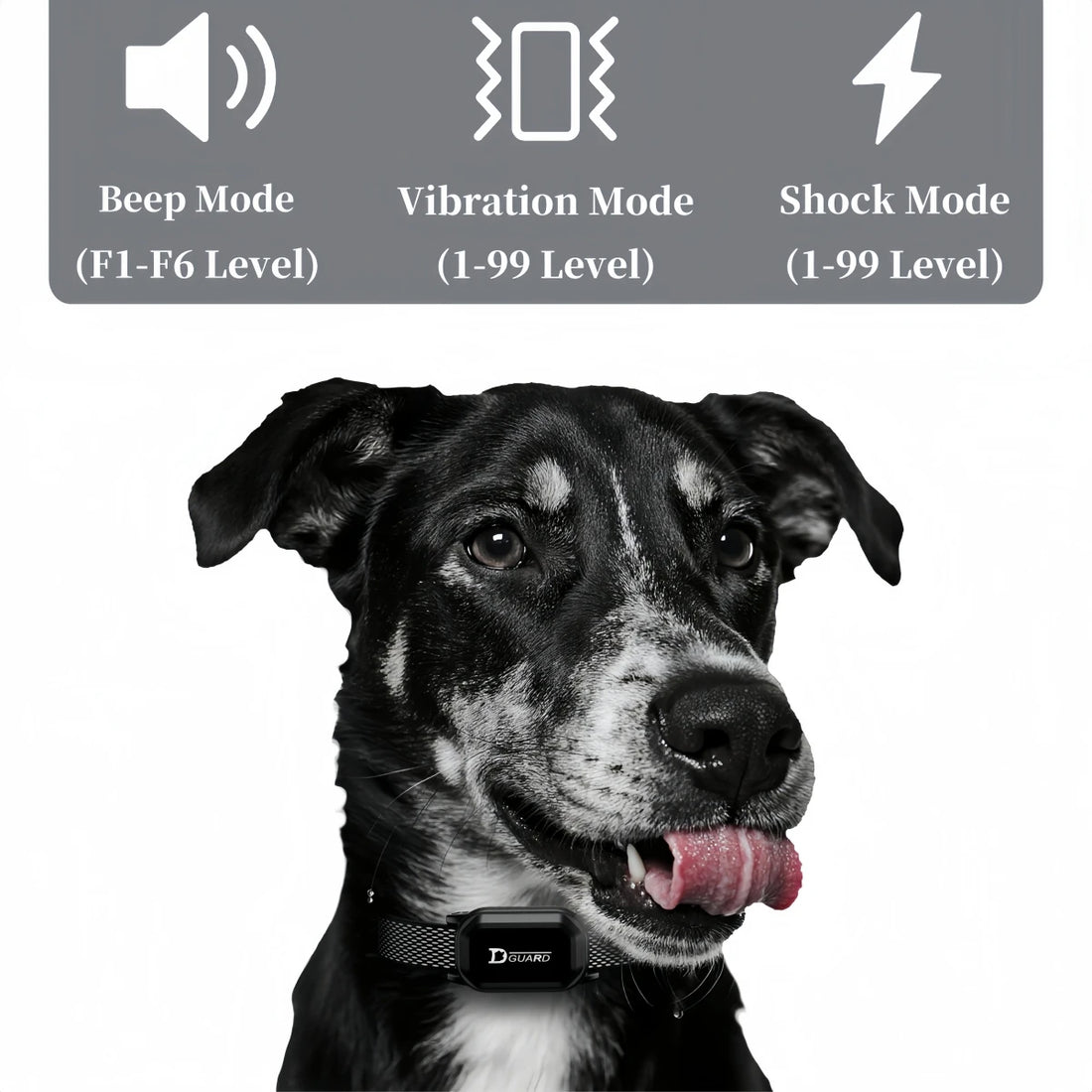800m Digital Dog Training Collar – Waterproof Remote with LCD
