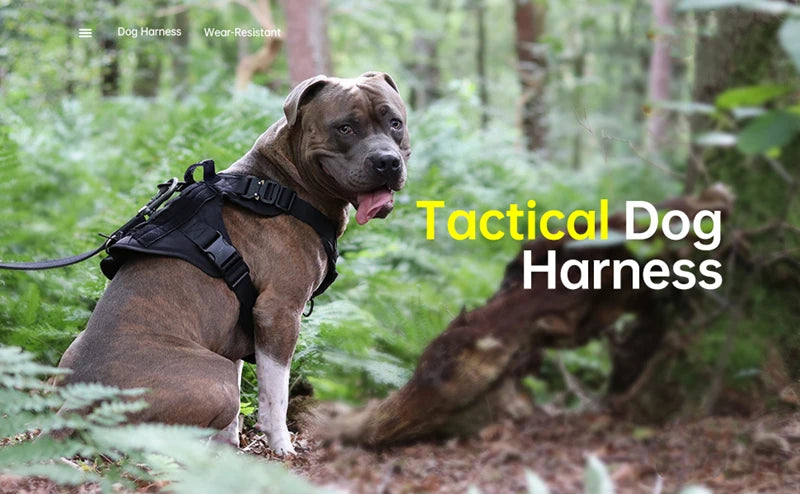 Tactical Military Dog Vest & Leash Set