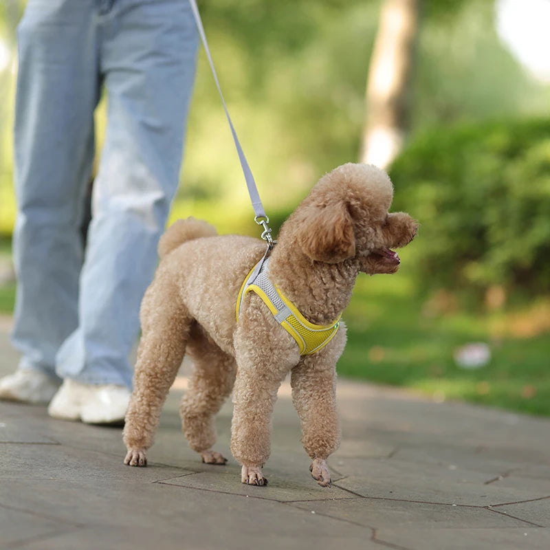 Dog Harness & Leash Set – Adjustable Vest for Small Dogs & Cats