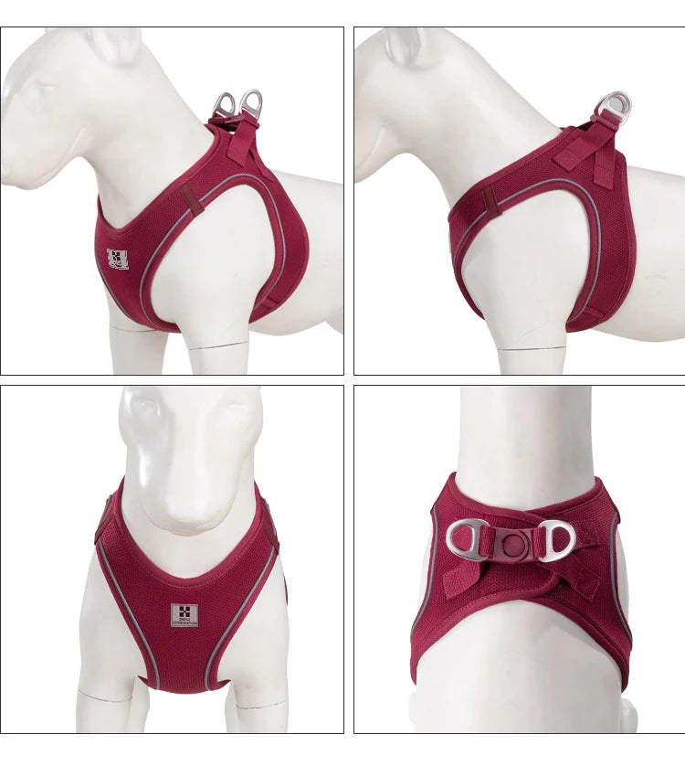 Reflective Dog Harness & Leash Set