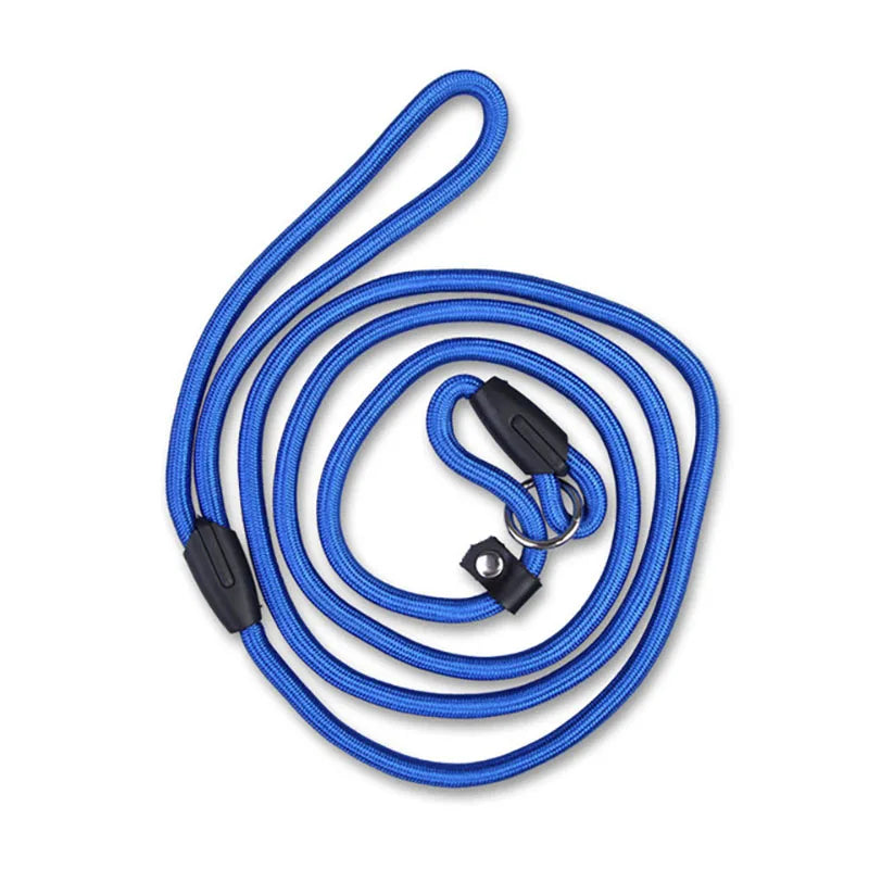 Adjustable Nylon Dog Leash – Training Lead & Harness Strap