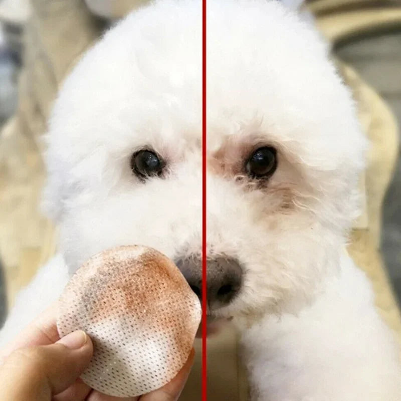 Pet Eye Cleaning Wipes – Tear Stain Remover for Dogs & Cats