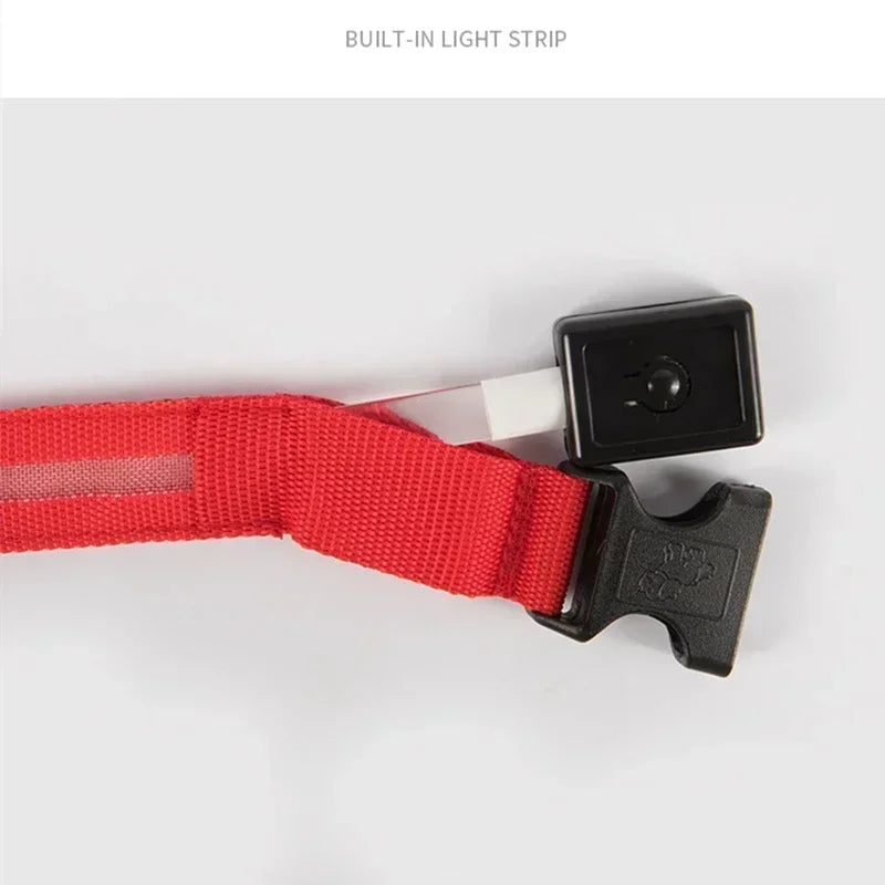 LED Glowing Dog Collar – Adjustable Flashing Night Safety