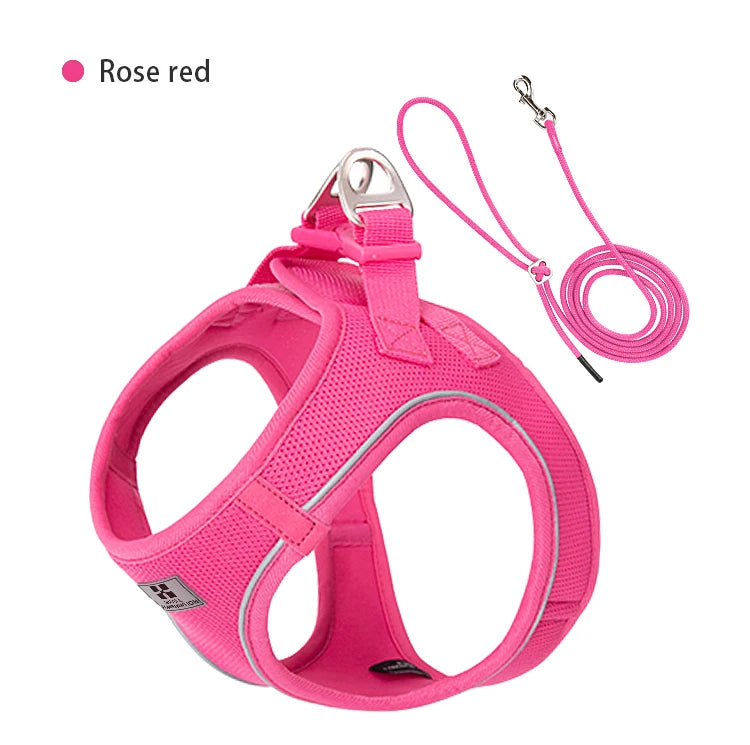 Reflective Dog Harness & Leash Set