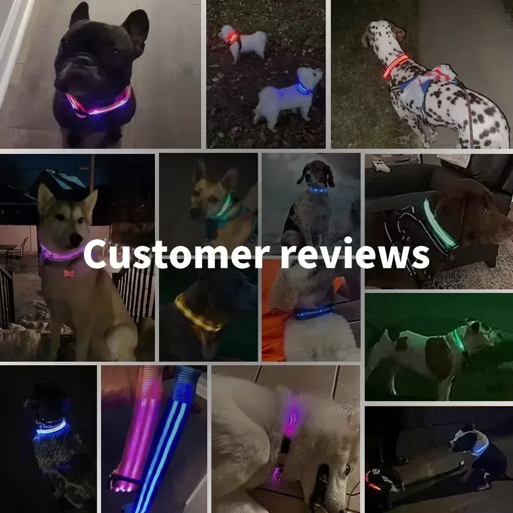 LED Glowing Dog Collar – Adjustable Flashing Night Safety