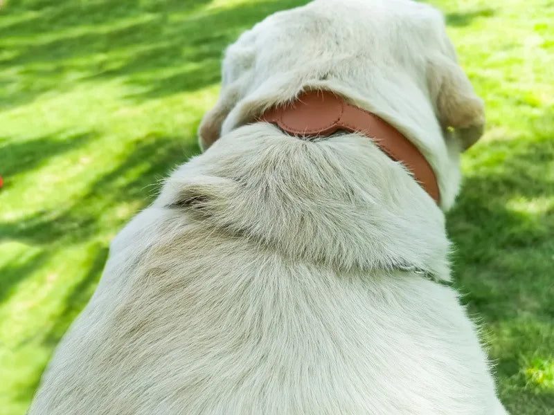 Airtag Silicone Pet Collar – Waterproof Anti-Lost Tracker Holder
