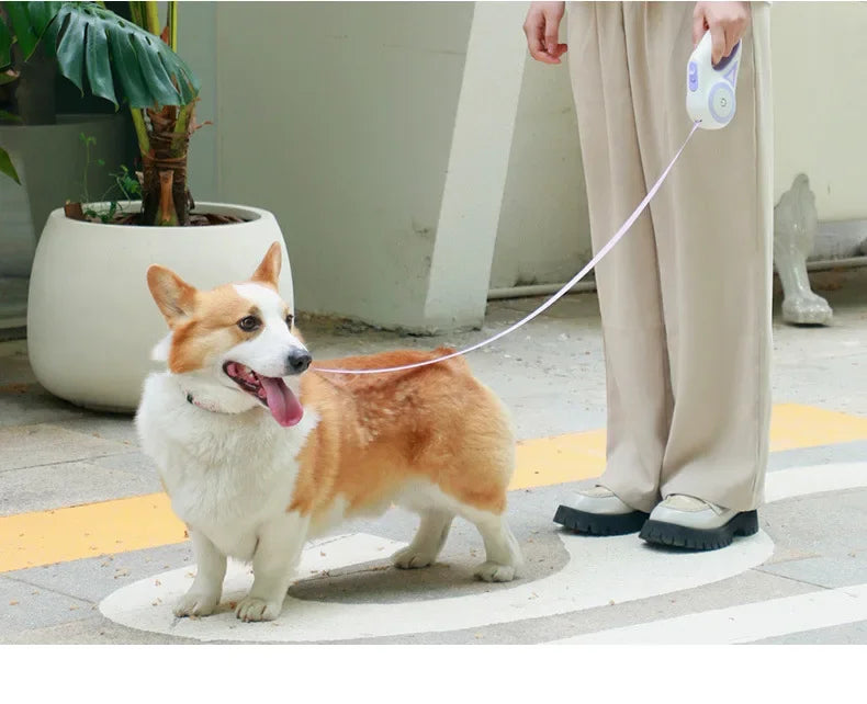 LED Retractable Dog Leash with Light – 3m/5m for Small to Large Pets
