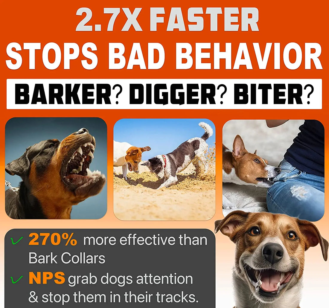 2023 Ultrasonic Dog Repeller