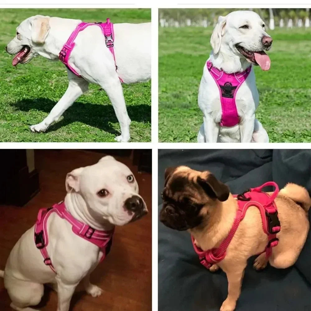 Reflective Adjustable Dog & Cat Harness