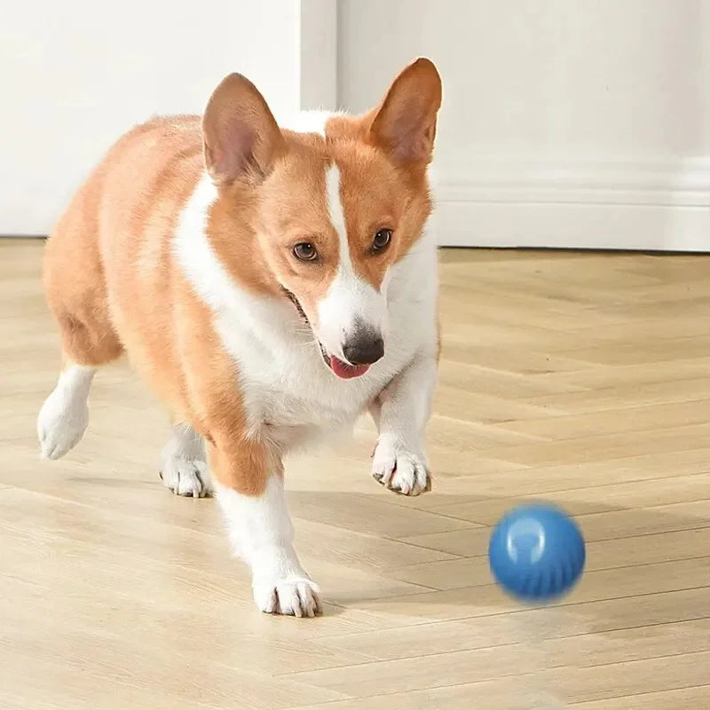 Smart Electronic Dog & Cat Toy Ball – Automatic Moving & Bouncing