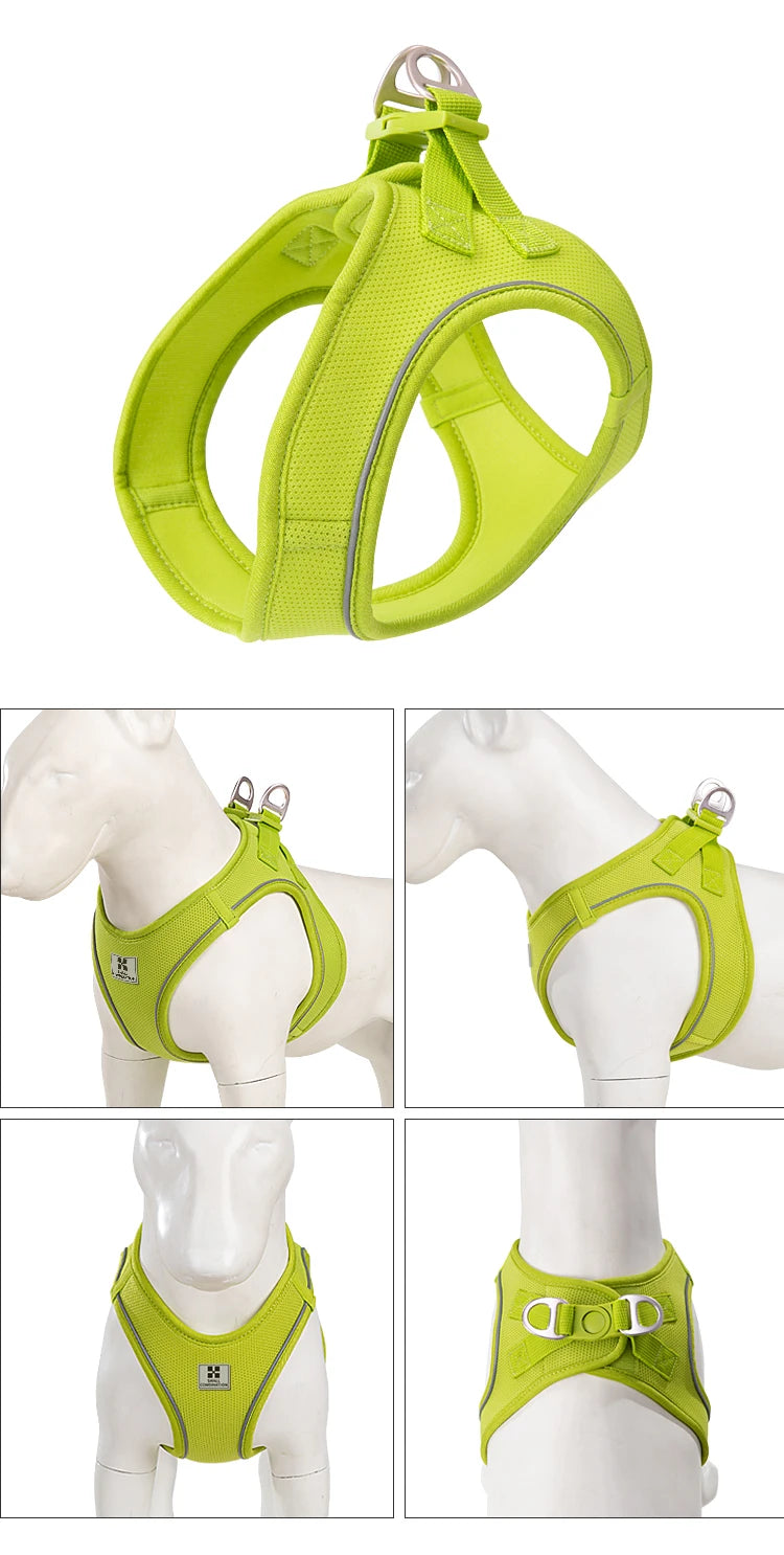 Reflective Dog Harness & Leash Set