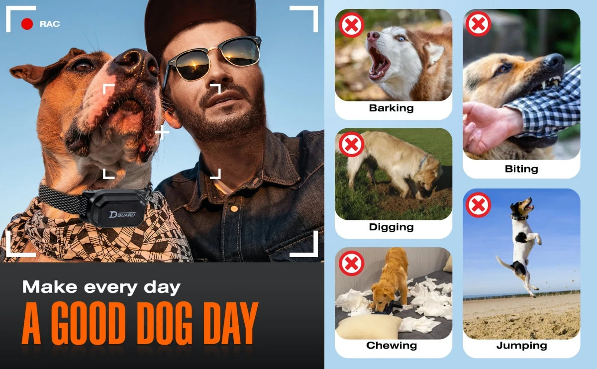 800m Digital Dog Training Collar – Waterproof Remote with LCD