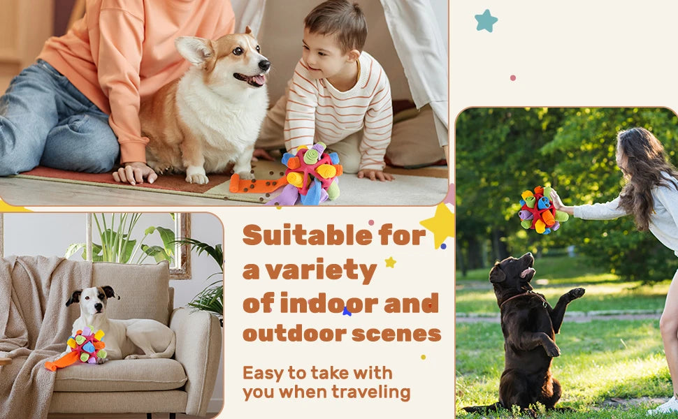 Dog Sniffing Ball – Interactive Chew & Training Toy