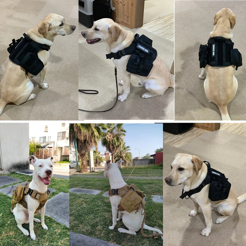 Tactical Military Dog Vest & Leash Set