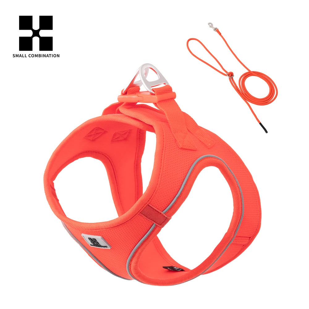 Reflective Dog Harness & Leash Set