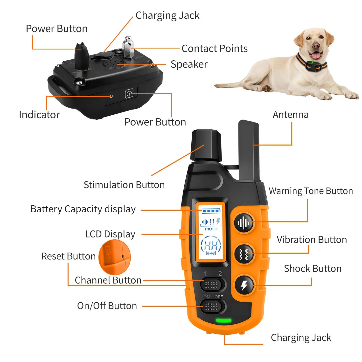 3300Ft Electric Dog Training Collar – Remote Control Waterproof