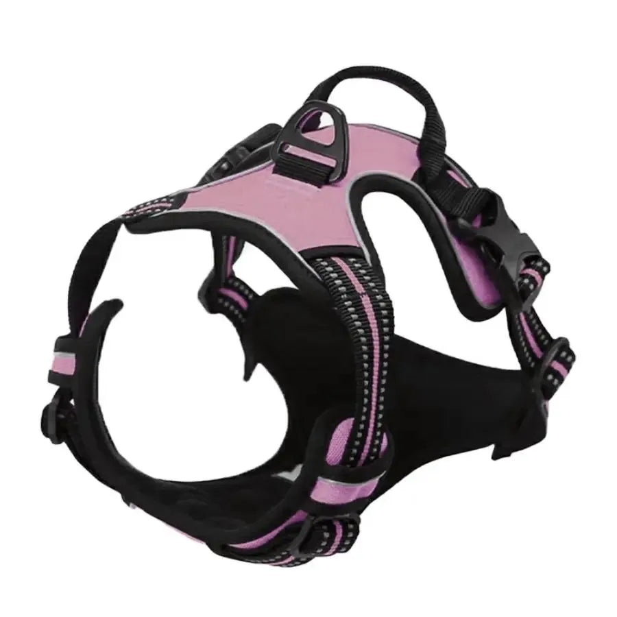 Dog Collar & Harness Set