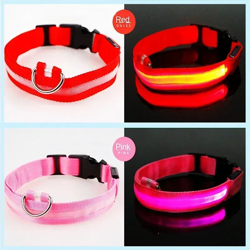 LED Glowing Dog Collar – Rechargeable Flashing Night Safety