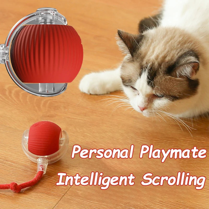Interactive Rolling Ball Toy – Smart Rechargeable Pet Toy for Cats & Dogs