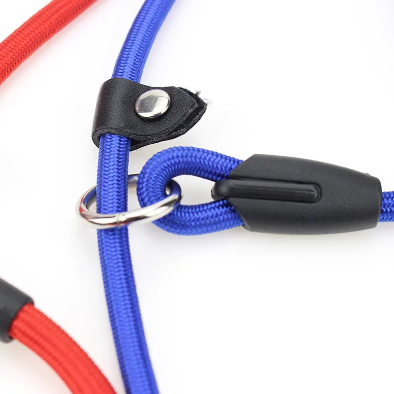 Adjustable Nylon Dog Leash – Training Lead & Harness Strap