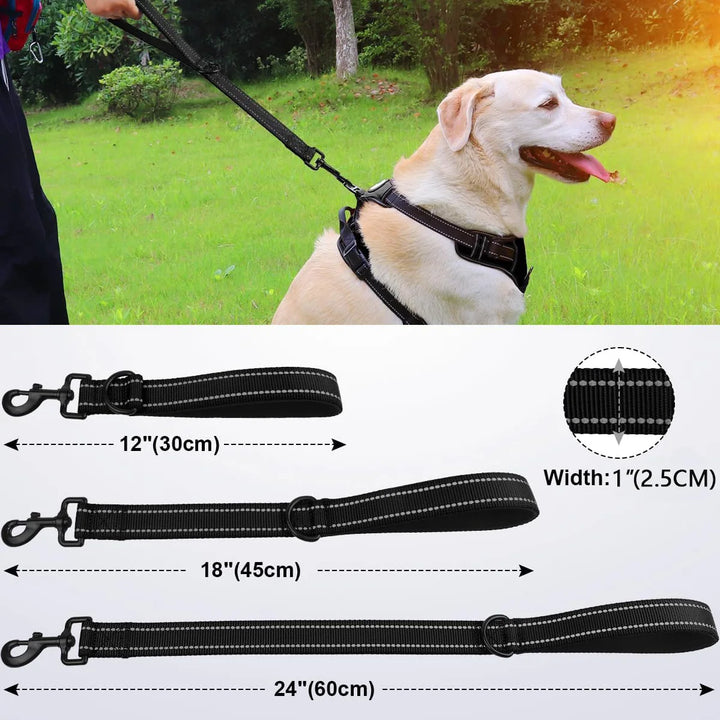 Taglory Short Dog Leash – Heavy Duty Nylon with Padded Handle