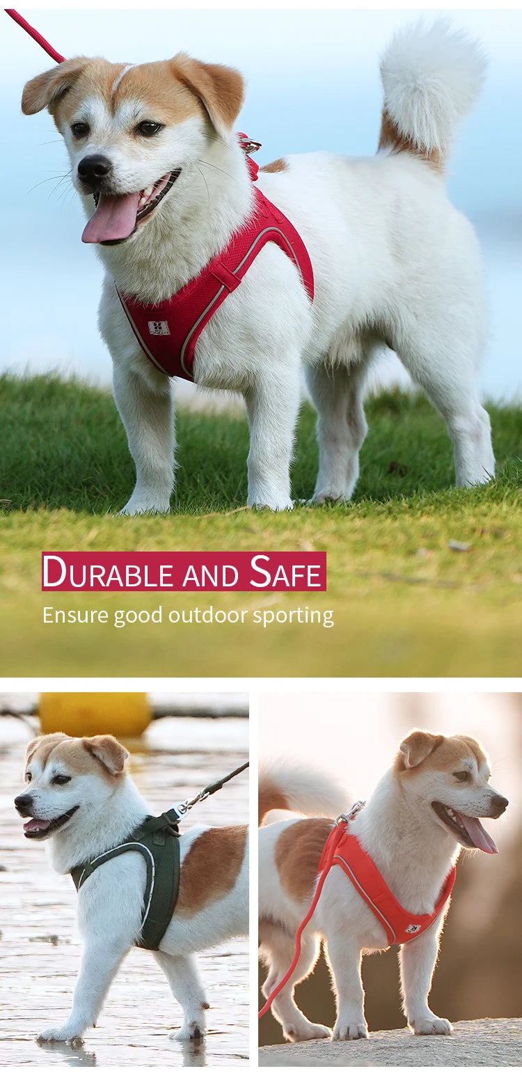 Reflective Dog Harness & Leash Set