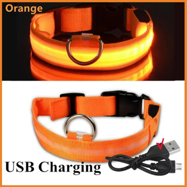 LED Glowing Dog Collar – Adjustable Flashing Night Safety