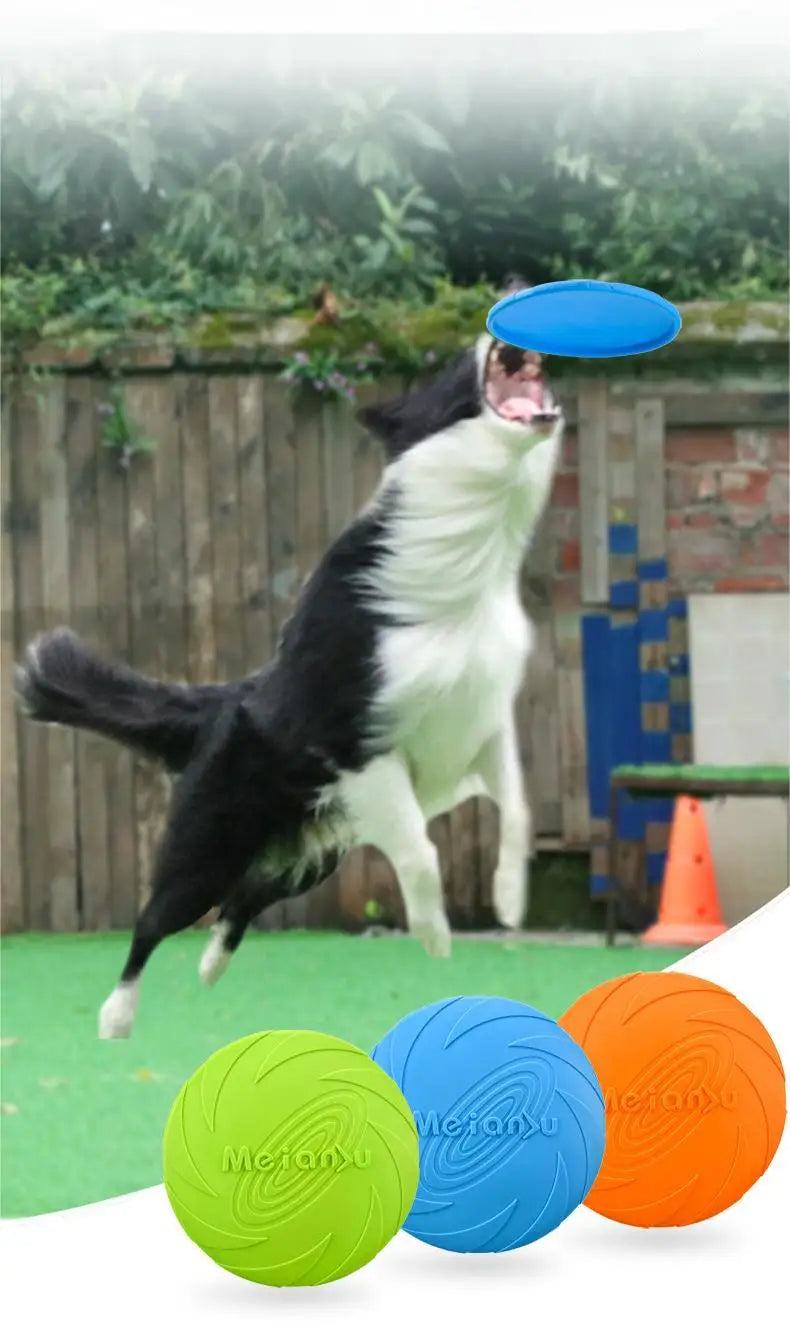 OUZEY Bite-Resistant Flying Disc – Interactive Dog Toy