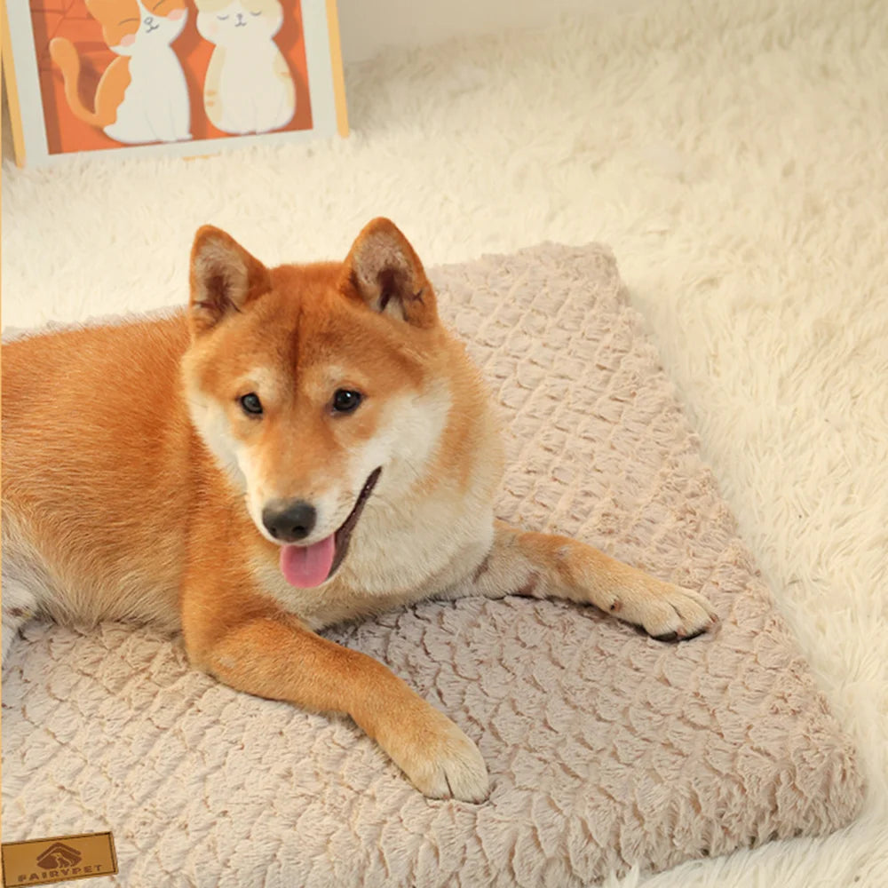 3D Orthopedic Dog Bed – Foam Pet Bed with Washable Faux Fur Cover