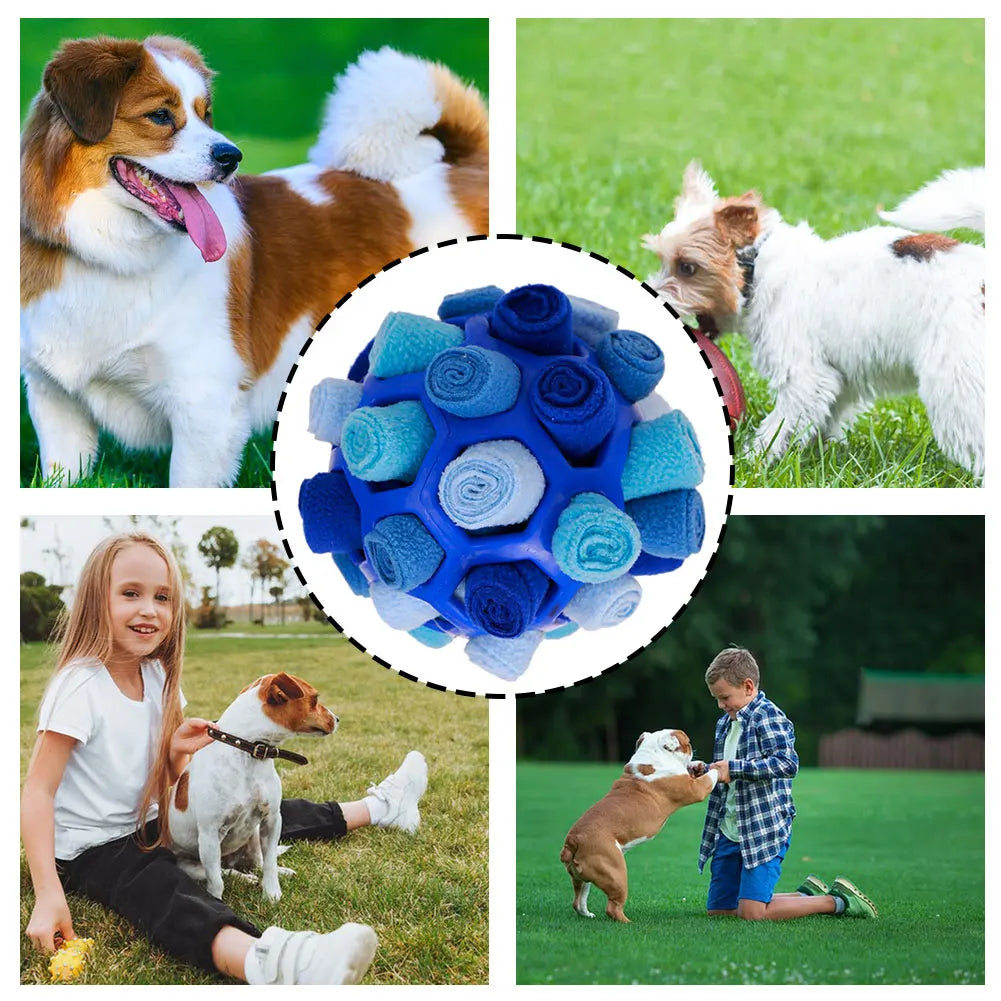 Dog Sniffing Ball – Interactive Chew & Training Toy