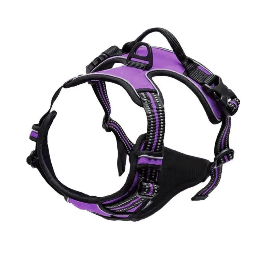 Dog Collar & Harness Set