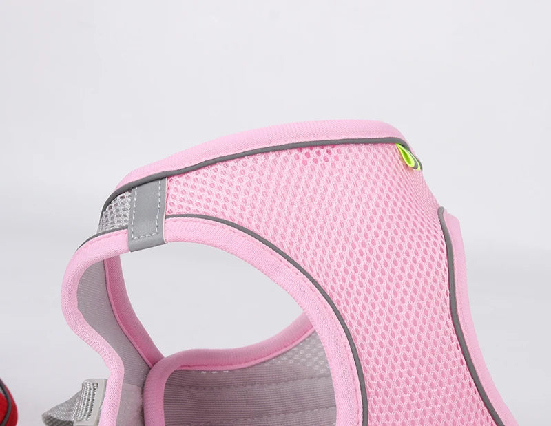 Dog Harness & Leash Set – Adjustable Vest for Small Dogs & Cats