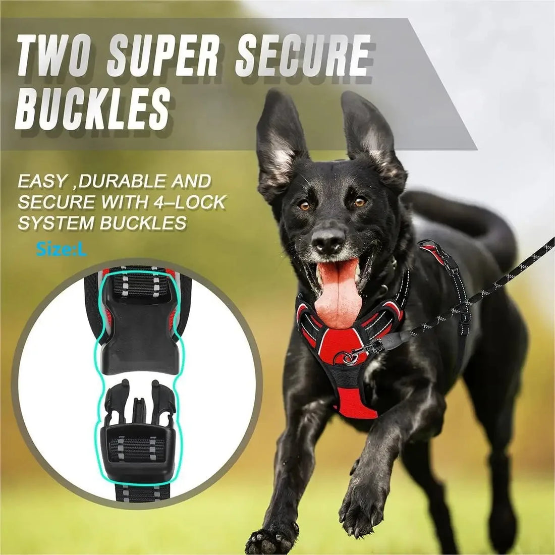 Dog Collar & Harness Set