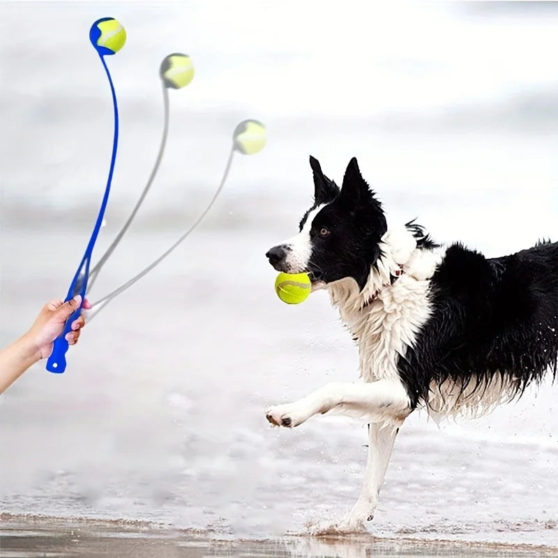 Pet Tennis Ball Launcher Stick – Interactive Dog Training Toy