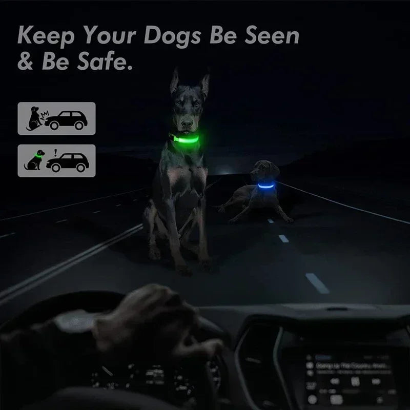 LED Glowing Dog Collar – Rechargeable Flashing Night Safety