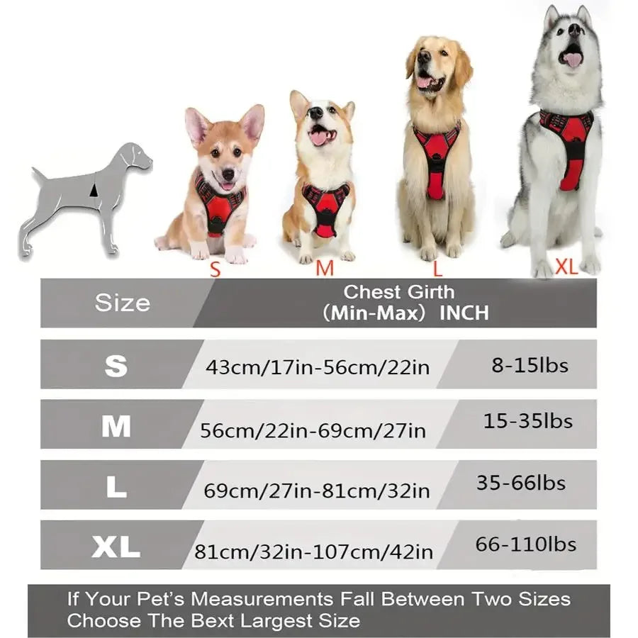 Dog Collar & Harness Set