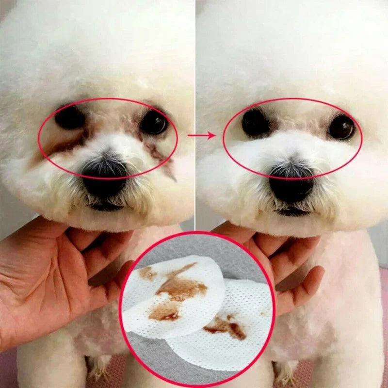Pet Eye Cleaning Wipes – Tear Stain Remover for Dogs & Cats