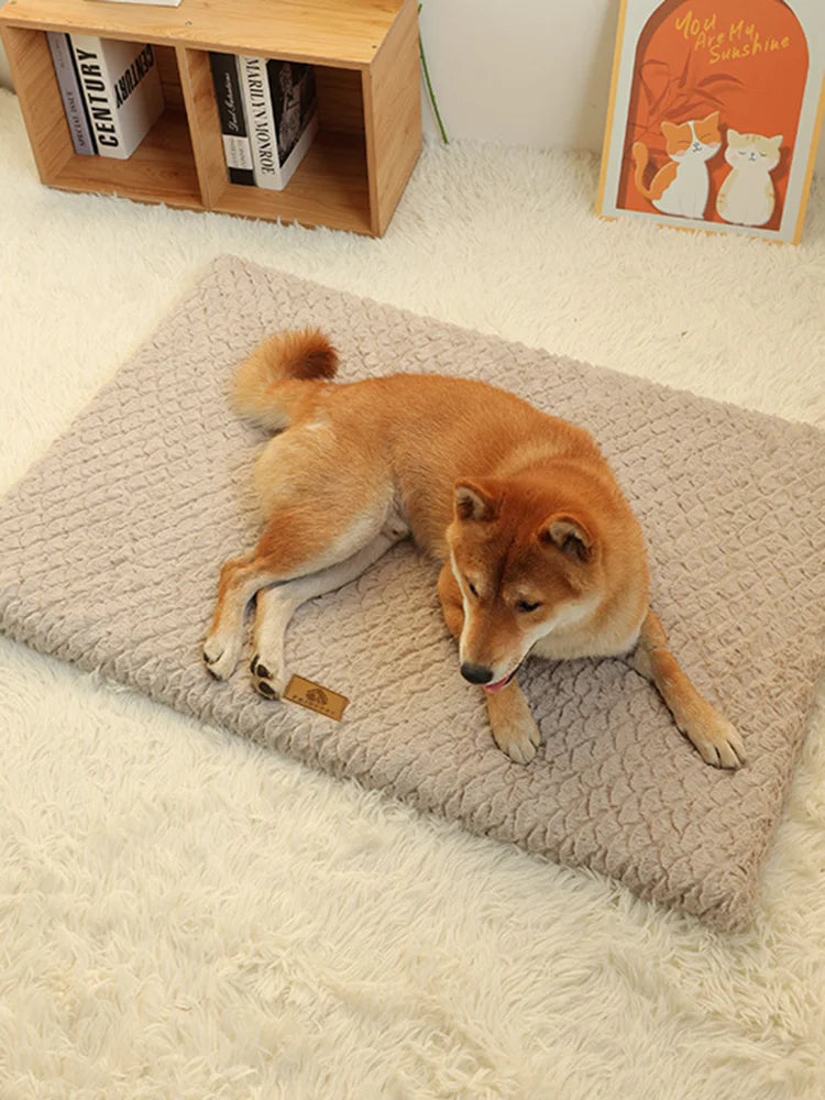3D Orthopedic Dog Bed – Foam Pet Bed with Washable Faux Fur Cover