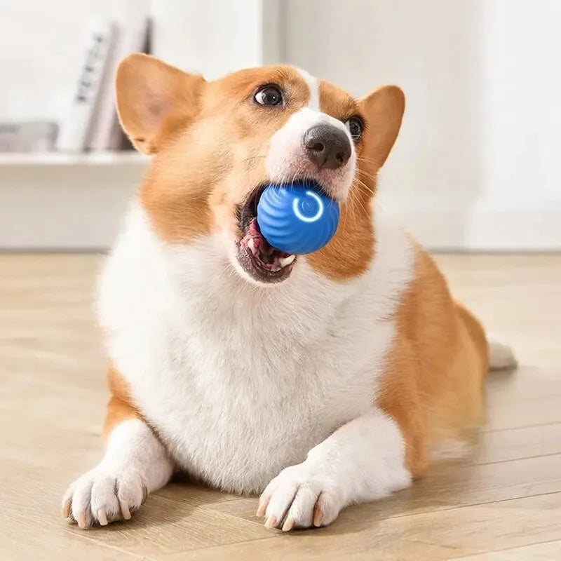 Smart Electronic Dog & Cat Toy Ball – Automatic Moving & Bouncing