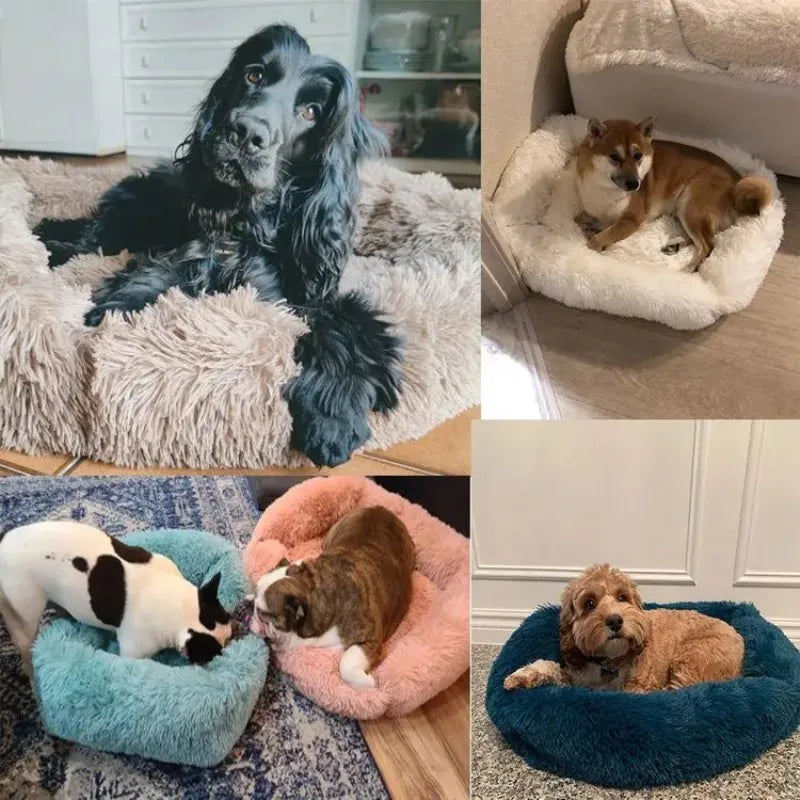 Rectangle Plush Pet Bed – Warm Winter Mat for Cats & Dogs