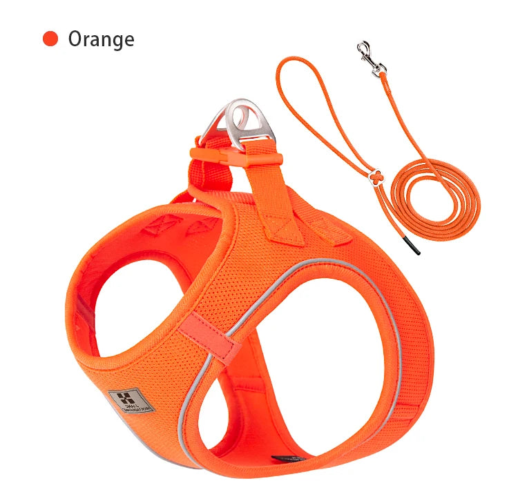Reflective Dog Harness & Leash Set