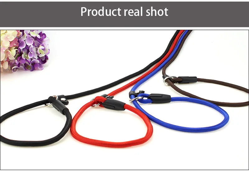 Adjustable Nylon Dog Leash – Training Lead & Harness Strap