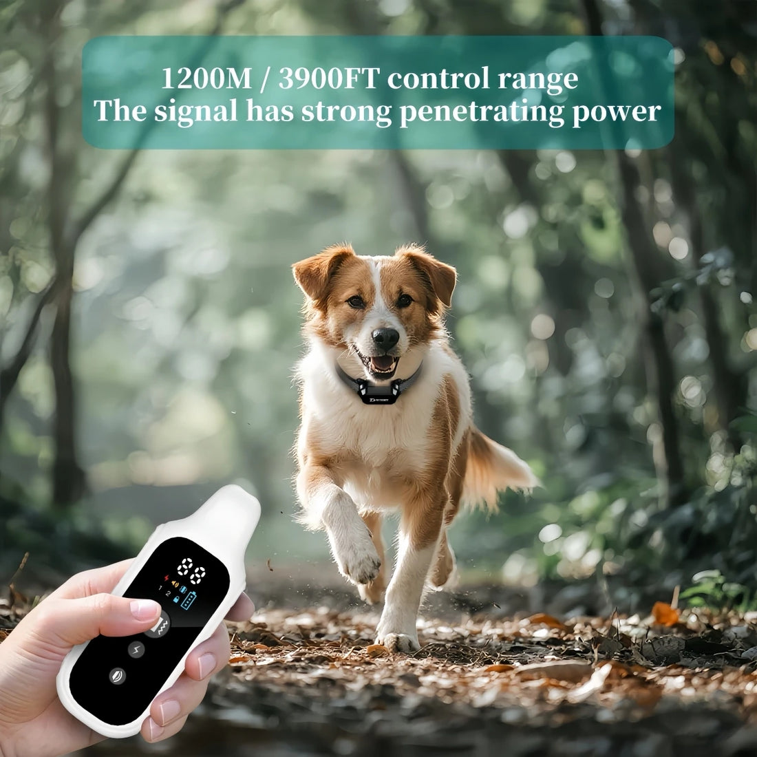 800m Digital Dog Training Collar – Waterproof Remote with LCD