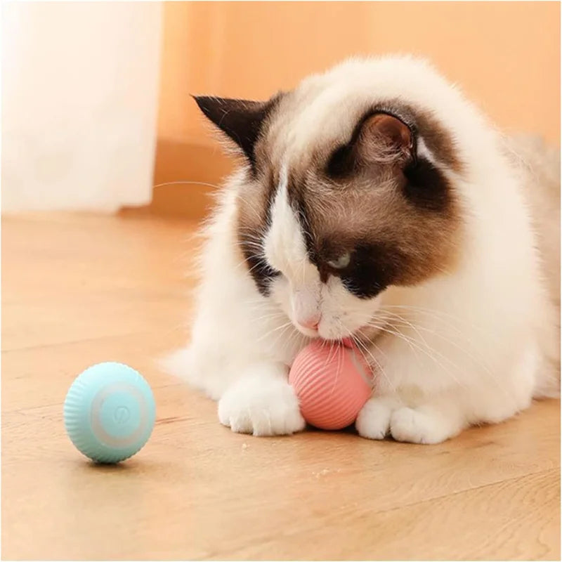 Smart Electronic Dog & Cat Toy Ball – Automatic Moving & Bouncing