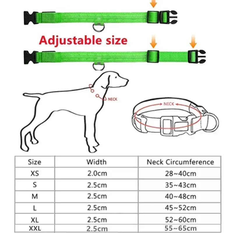 LED Glowing Dog Collar – Adjustable Flashing Night Safety