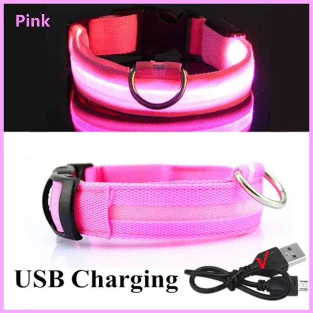LED Glowing Dog Collar – Rechargeable Flashing Night Safety