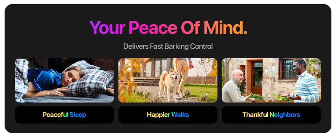 2023 Ultrasonic Dog Repeller
