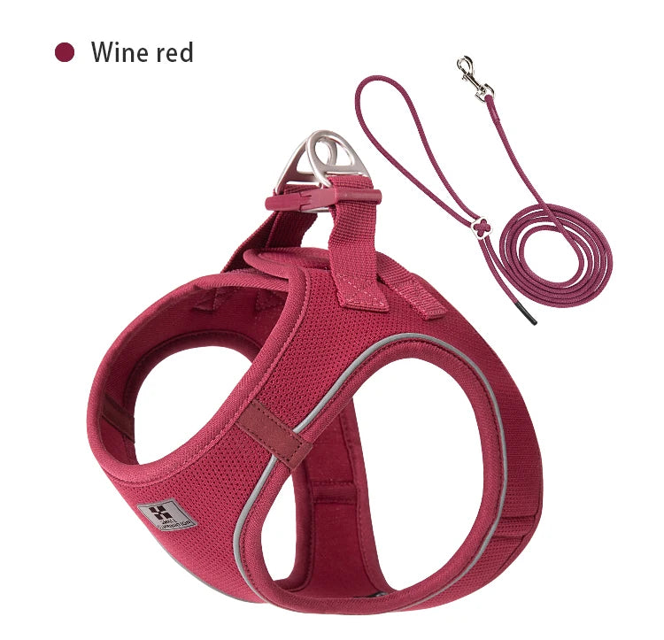 Reflective Dog Harness & Leash Set