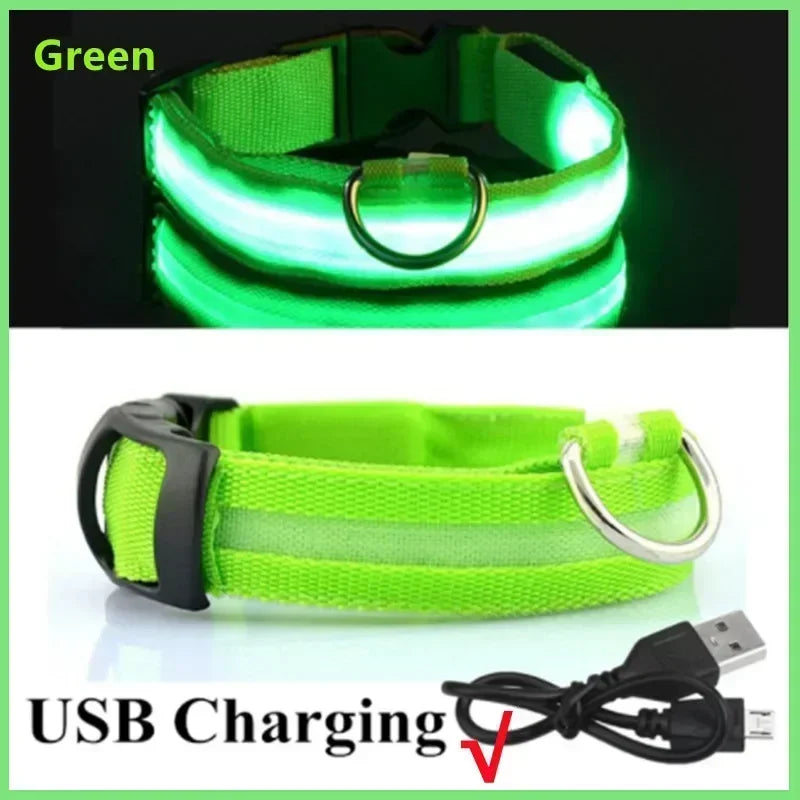 LED Glowing Dog Collar – Rechargeable Flashing Night Safety
